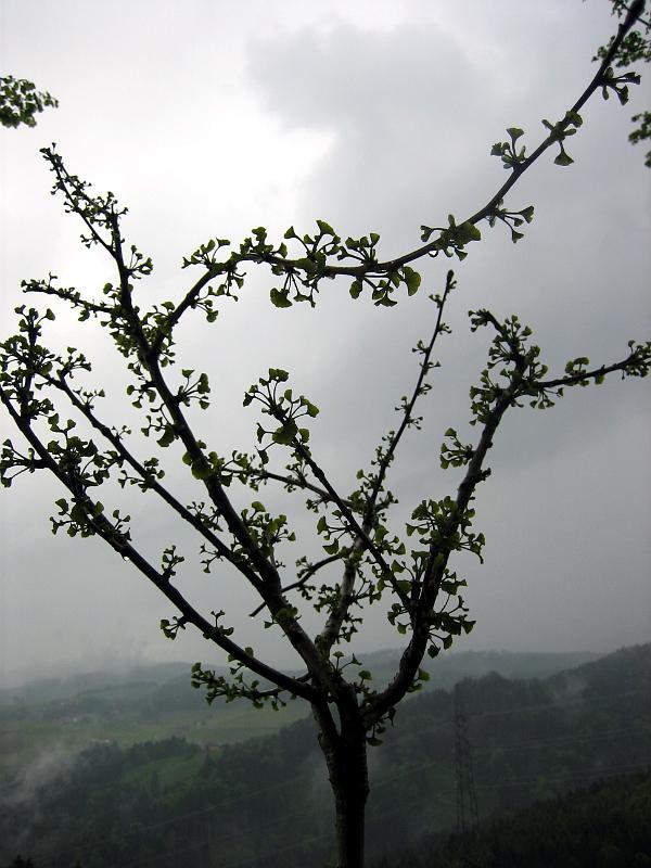2010 05 28 A